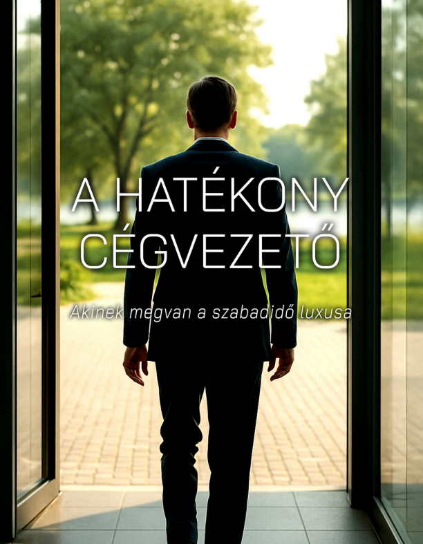 A HATÉKONY CÉGVEZETŐ